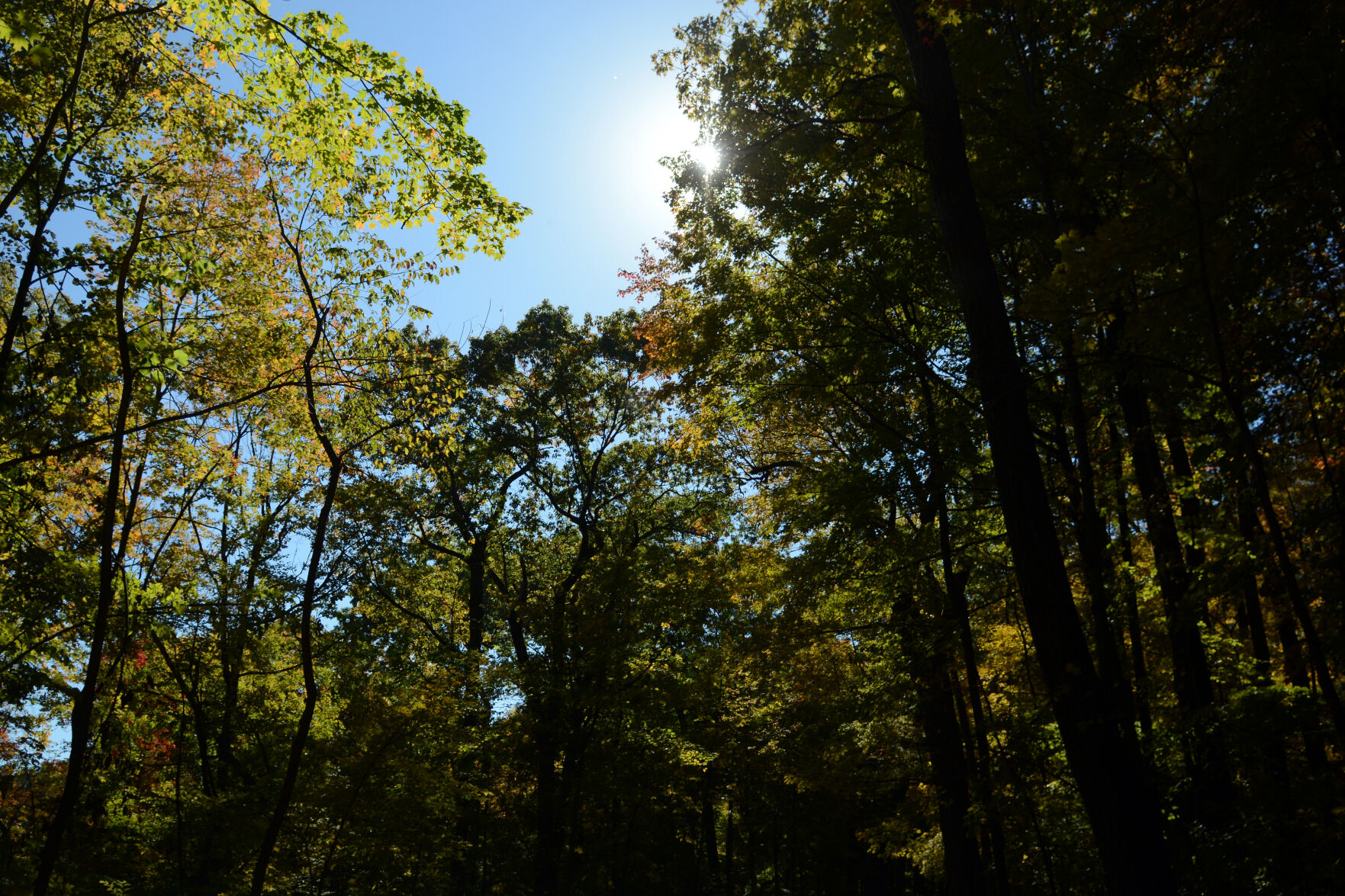 Baraboo area fall color, Oct. 8, 2020